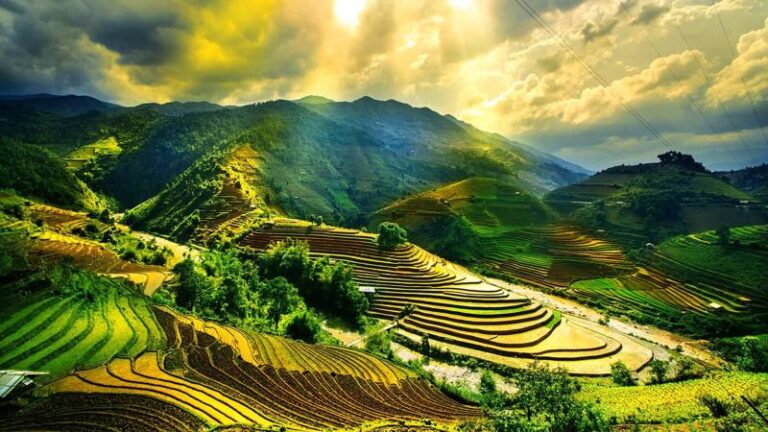 rice-field-terrace-vietnam-shutterstock-554460046-d71ff868b1